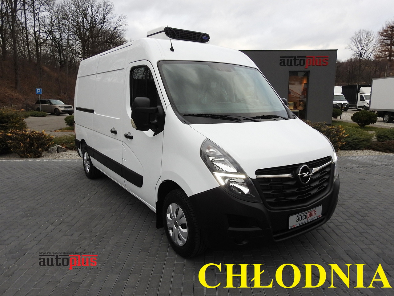 OPEL MOVANO REFRIGERATOR VAN 0*C CRUISE CONTROL NAVIGATION AIR CONDITIONING LED LIGHTS 150HP - Furgoneta frigorifica: foto 1 OPEL MOVANO REFRIGERATOR VAN 0*C CRUISE CONTROL NAVIGATION AIR CONDITIONING LED LIGHTS 150HP - Furgoneta frigorifica: foto 1
