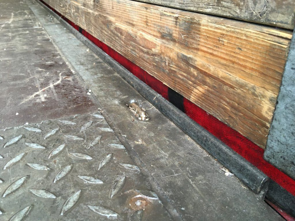 Semirremolque lona Schmitz Cargobull SCB*S3T standard/lifting roof/Hubdach 2,70-2,85m: foto 13