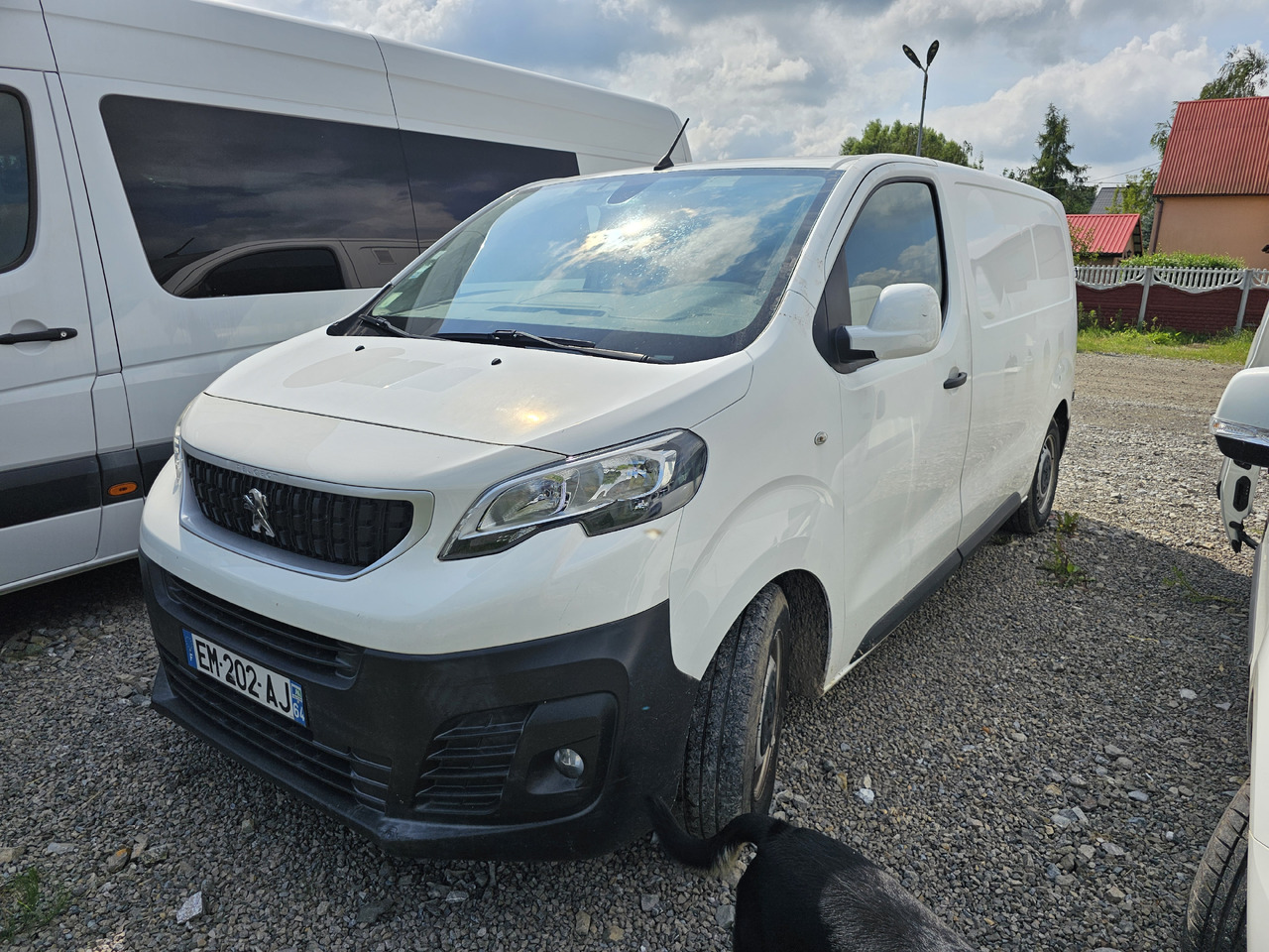 PEUGEOT Expert CHLODNIA THERMOKING KLIMA EURO6 - Furgoneta frigorifica: foto 3 PEUGEOT Expert CHLODNIA THERMOKING KLIMA EURO6 - Furgoneta frigorifica: foto 3