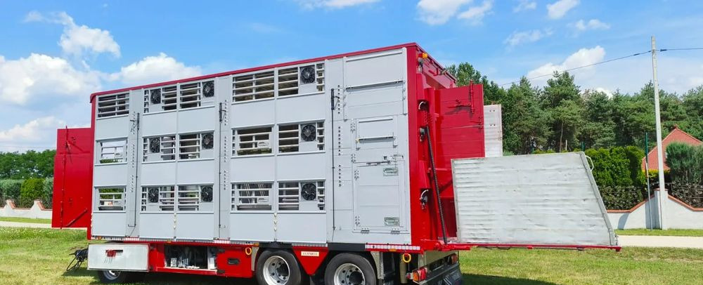 Pezzaioli RBA 32/TRZYOSIOWA PRZYCZEPA-2XBYDŁO,3X TRZODA/HYDRAULICZNIE PODNOSZONY DACH I PODŁOGI / OŚ ŚRODKOWA PODNOSZONA - Remolque transporte de ganado: foto 2 Pezzaioli RBA 32/TRZYOSIOWA PRZYCZEPA-2XBYDŁO,3X TRZODA/HYDRAULICZNIE PODNOSZONY DACH I PODŁOGI / OŚ ŚRODKOWA PODNOSZONA - Remolque transporte de ganado: foto 2