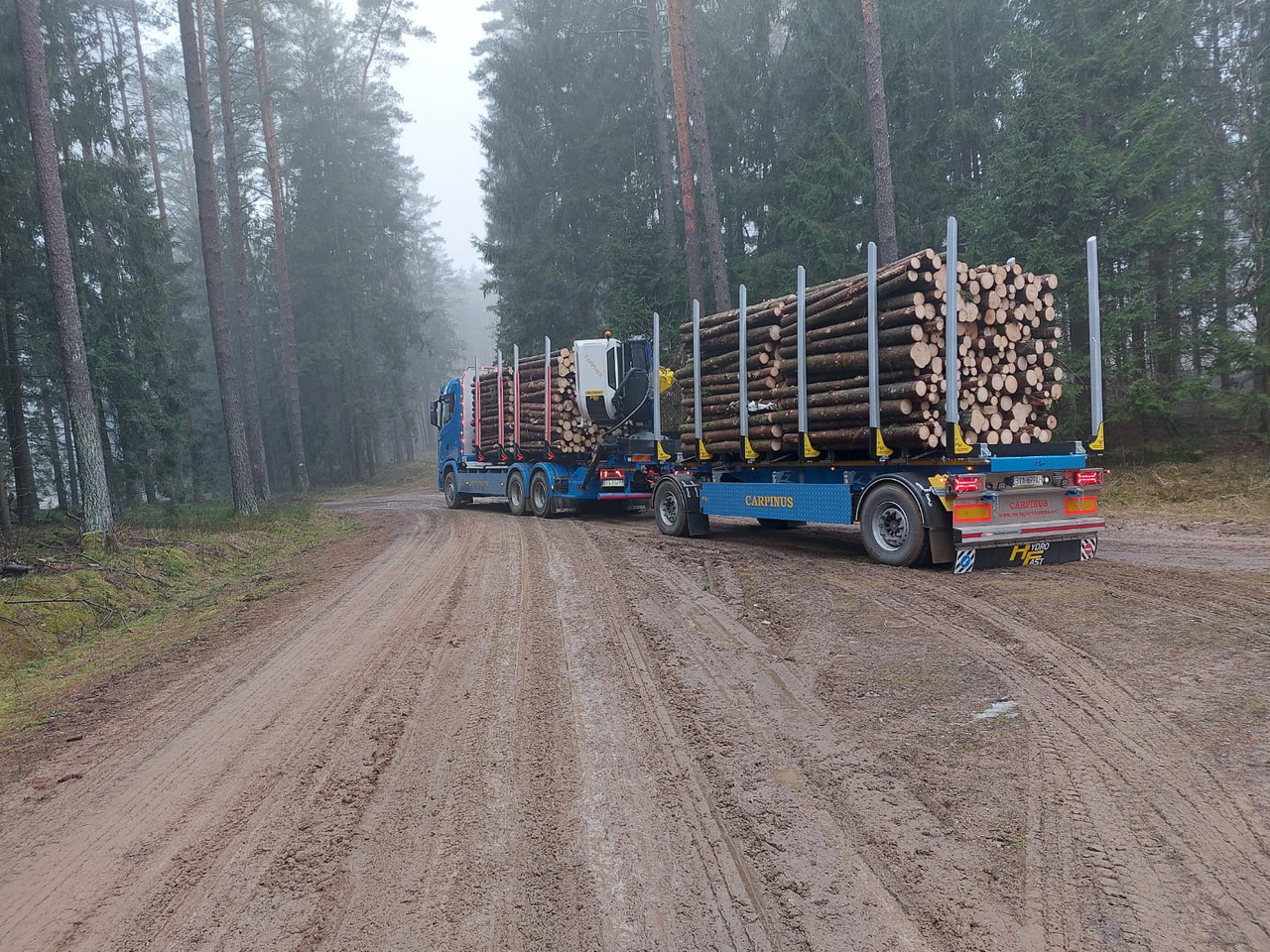 Hydrofast Przyczepa 2 osiowa do drewna stosowego HFP2/2-axle timber trailer HFP2 - Remolque maderero: foto 3 Hydrofast Przyczepa 2 osiowa do drewna stosowego HFP2/2-axle timber trailer HFP2 - Remolque maderero: foto 3