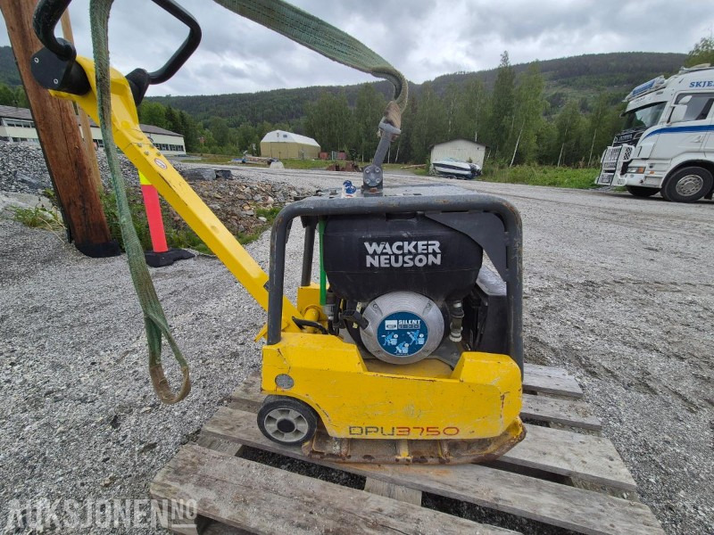 2019 Wacker Neuson DPU3750 / Hoppetusse / Vibroplate / Komprimator - Rodillo: foto 4 2019 Wacker Neuson DPU3750 / Hoppetusse / Vibroplate / Komprimator - Rodillo: foto 4