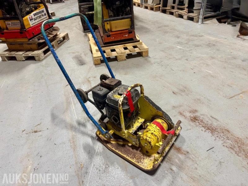 Ammann AVP 1850 – Vibroplate - Equipo de construcción: foto 2 Ammann AVP 1850 – Vibroplate - Equipo de construcción: foto 2