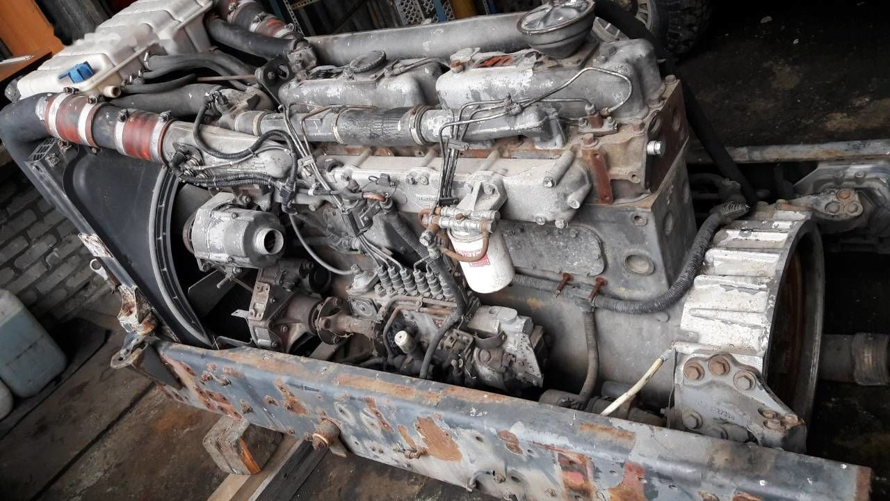 DAF WS 268 G DAF 95, 85 - Motor para Camión: foto 1 DAF WS 268 G DAF 95, 85 - Motor para Camión: foto 1