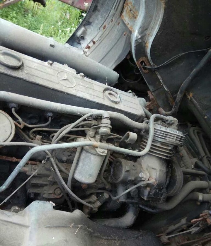 Mercedes-Benz OM366 170 E2 Mercedes-Benz - Motor para Camión: foto 1 Mercedes-Benz OM366 170 E2 Mercedes-Benz - Motor para Camión: foto 1