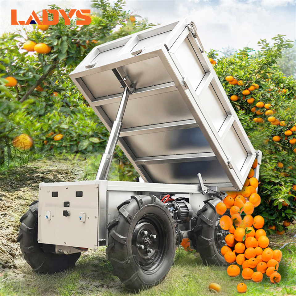 LADYS All-Terrain Four-Wheel Drive And Eight-Wheel Drive Transport Truck, Mountain Area Farm Orchard Greenhouse Construction Site Creeper Remote Control Electric Agricultural Transport Vehicle - Cuadrimoto: foto 2 LADYS All-Terrain Four-Wheel Drive And Eight-Wheel Drive Transport Truck, Mountain Area Farm Orchard Greenhouse Construction Site Creeper Remote Control Electric Agricultural Transport Vehicle - Cuadrimoto: foto 2