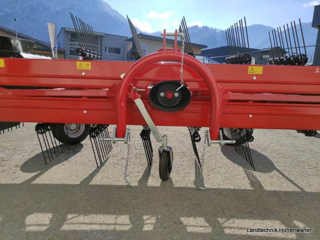 Henificadora nuevo Molon 250/5R Pro zu Reform (15863): foto 6