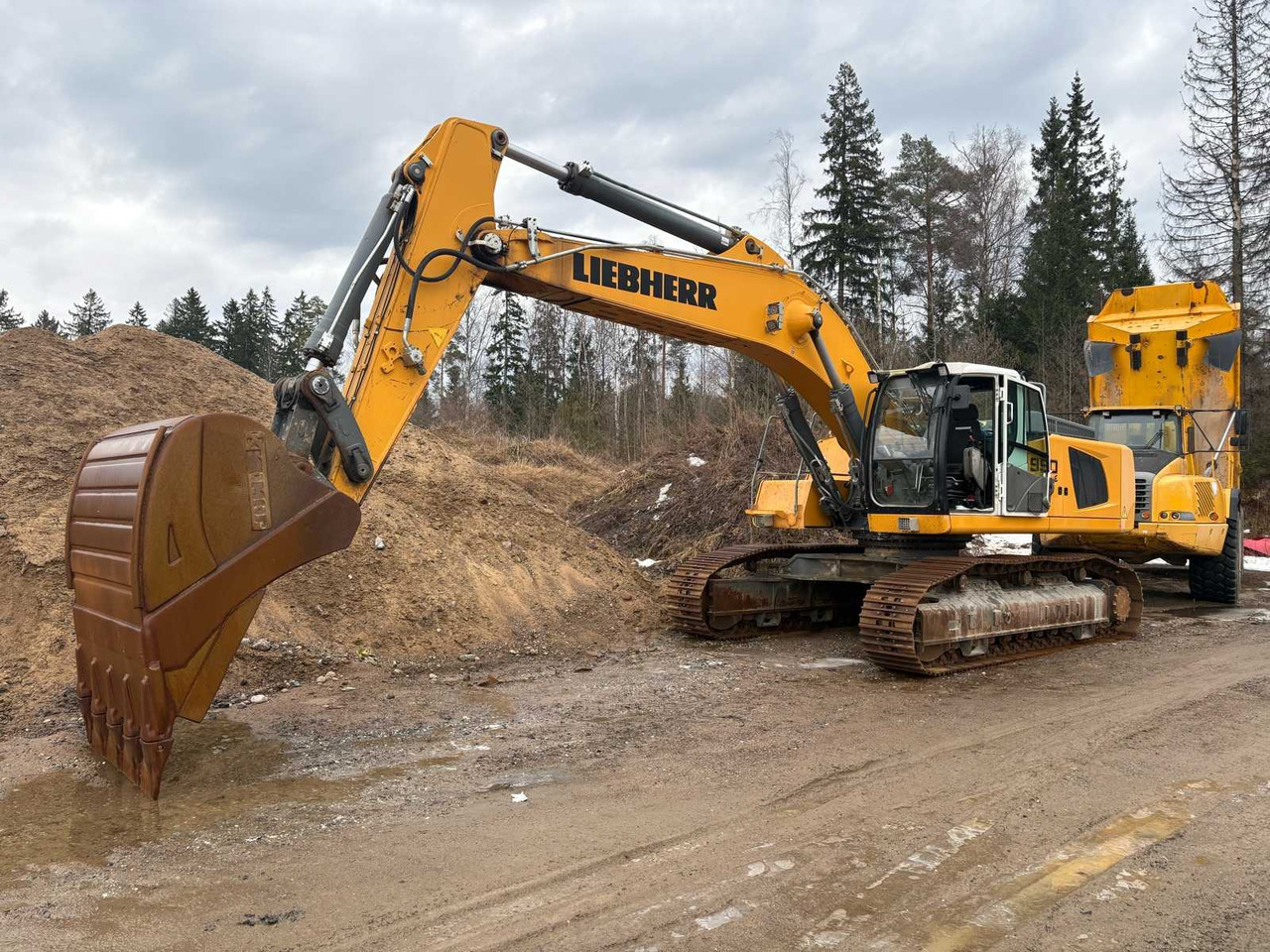 Excavadora de cadenas Liebherr 950SME crawler excavator: foto 1