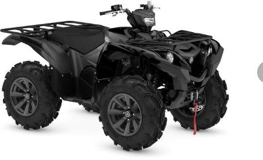 Yamaha GRIZZLY 700TA EPS XTR 25 GREY - Cuadrimoto: foto 1 Yamaha GRIZZLY 700TA EPS XTR 25 GREY - Cuadrimoto: foto 1