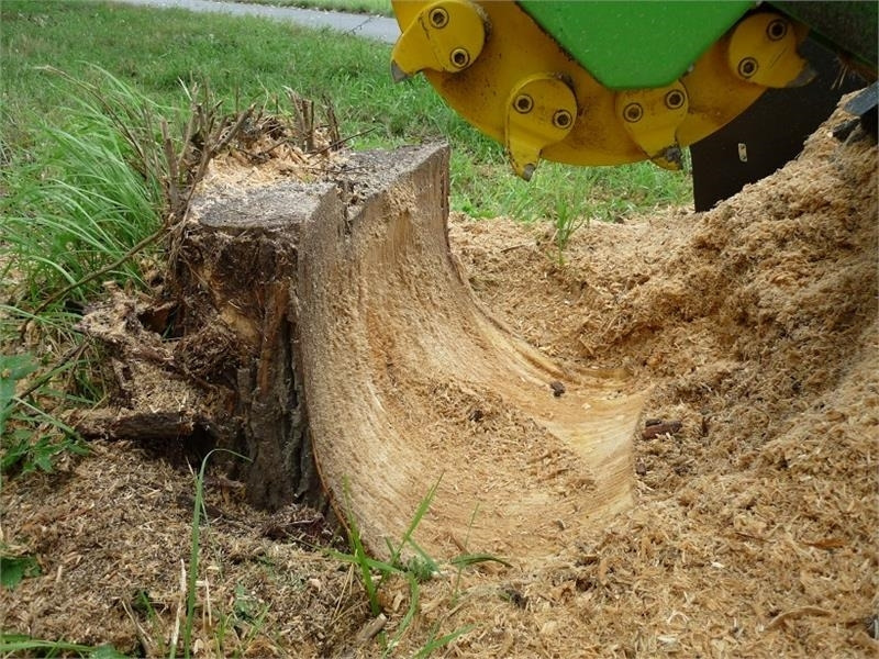 Laski F 500H/38 - Astilladora de leña: foto 5 Laski F 500H/38 - Astilladora de leña: foto 5