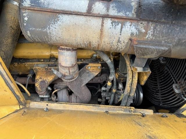 Leasing de CAT D 6 M XL  CAT D 6 M XL: foto 18