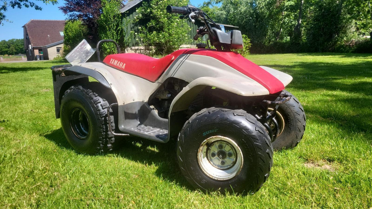Yamaha BREEZE 125cc Quad T-50-BLG - Cuadrimoto: foto 3 Yamaha BREEZE 125cc Quad T-50-BLG - Cuadrimoto: foto 3