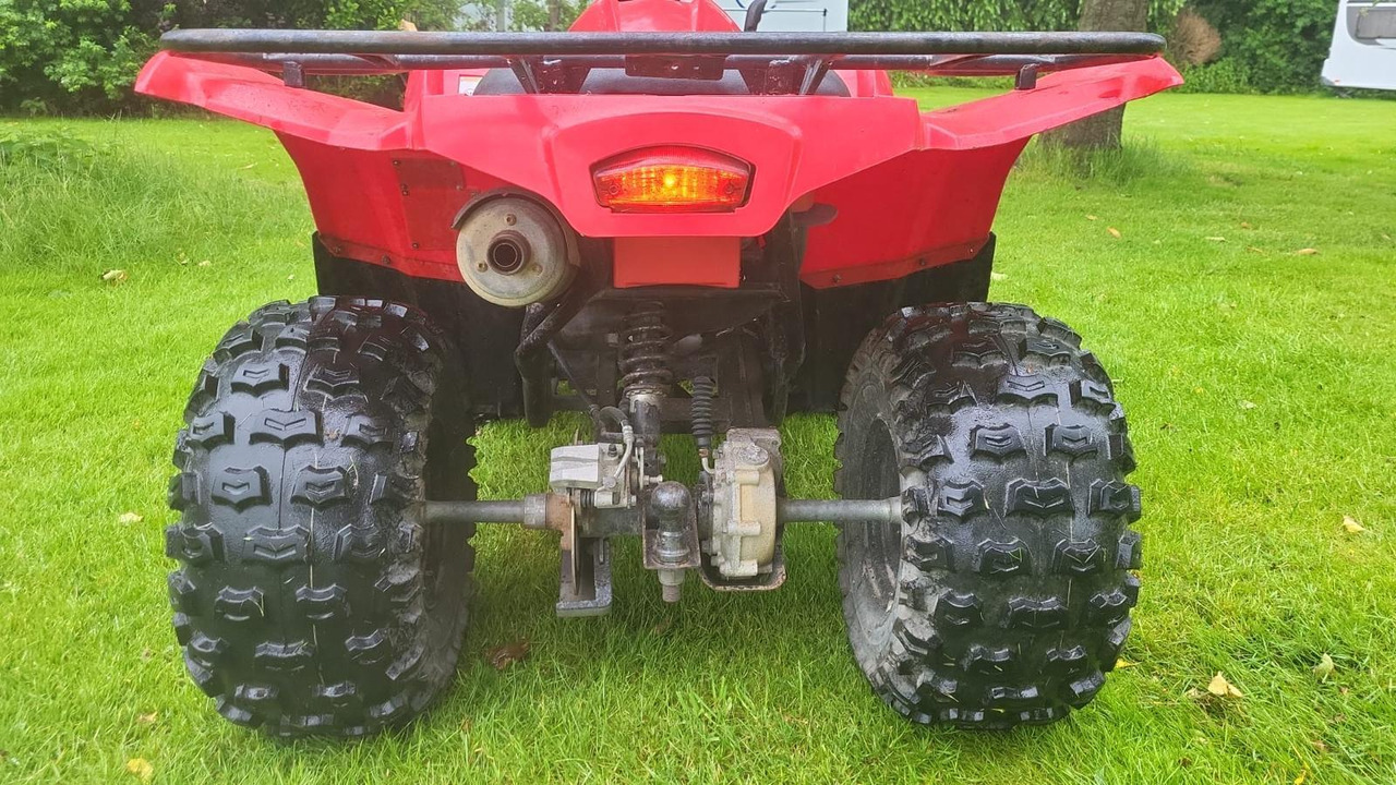 Yamaha Grizzly 300 - Cuadrimoto: foto 5 Yamaha Grizzly 300 - Cuadrimoto: foto 5