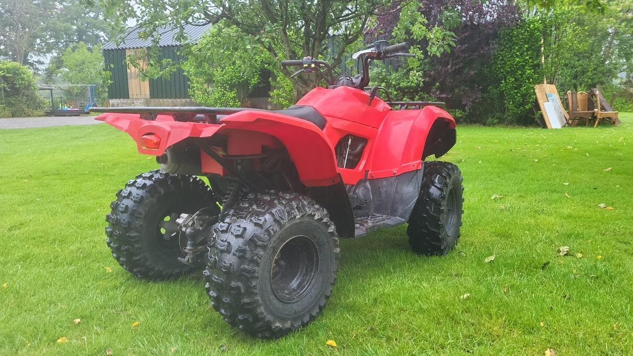 Yamaha Grizzly 300 - Cuadrimoto: foto 4 Yamaha Grizzly 300 - Cuadrimoto: foto 4