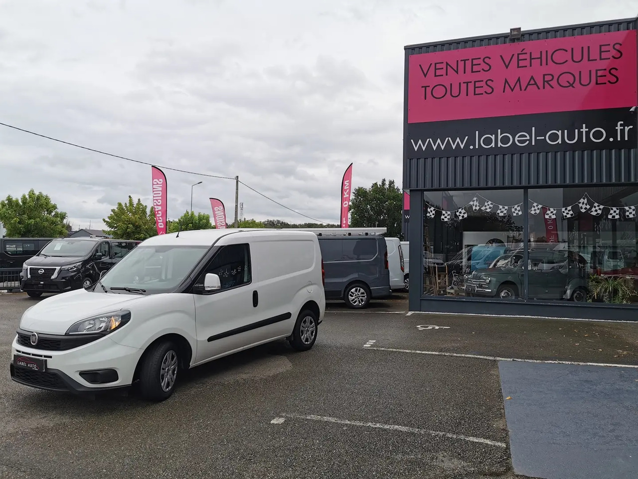 Furgoneta pequeña Fiat Doblo Cargo 1.3 MULTIJET 95CH PACK PRO NAV E6D: foto 6