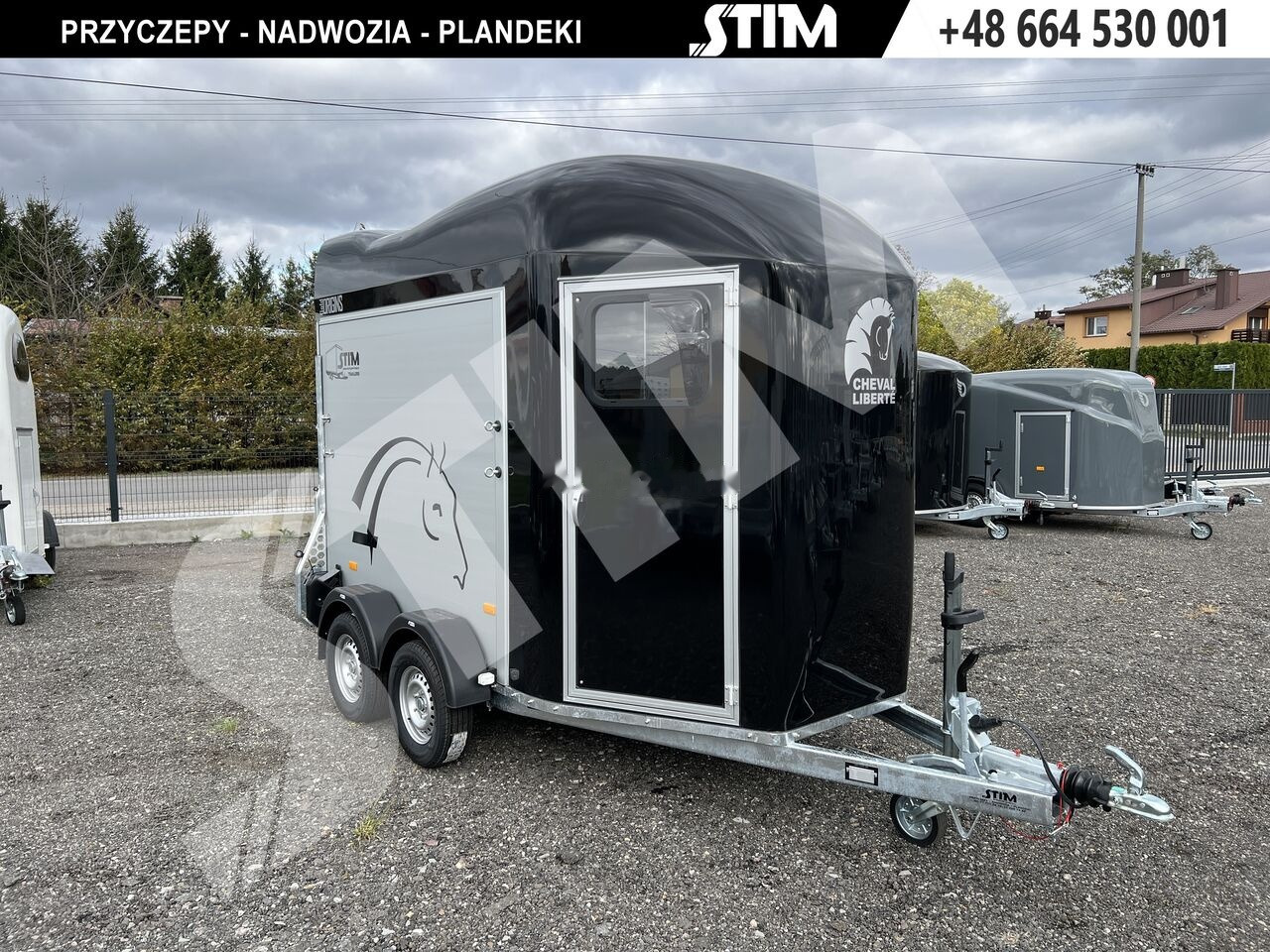 Remolque para caballos nuevo Cheval Liberté GOLD ORIGINS: foto 6 Remolque para caballos nuevo Cheval Liberté GOLD ORIGINS: foto 6
