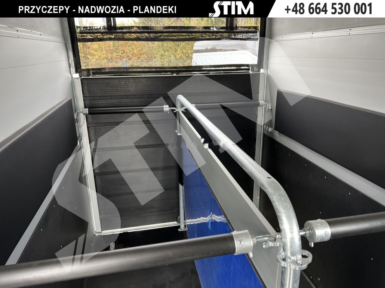 Remolque para caballos nuevo Cheval Liberté GOLD ORIGINS: foto 10 Remolque para caballos nuevo Cheval Liberté GOLD ORIGINS: foto 10