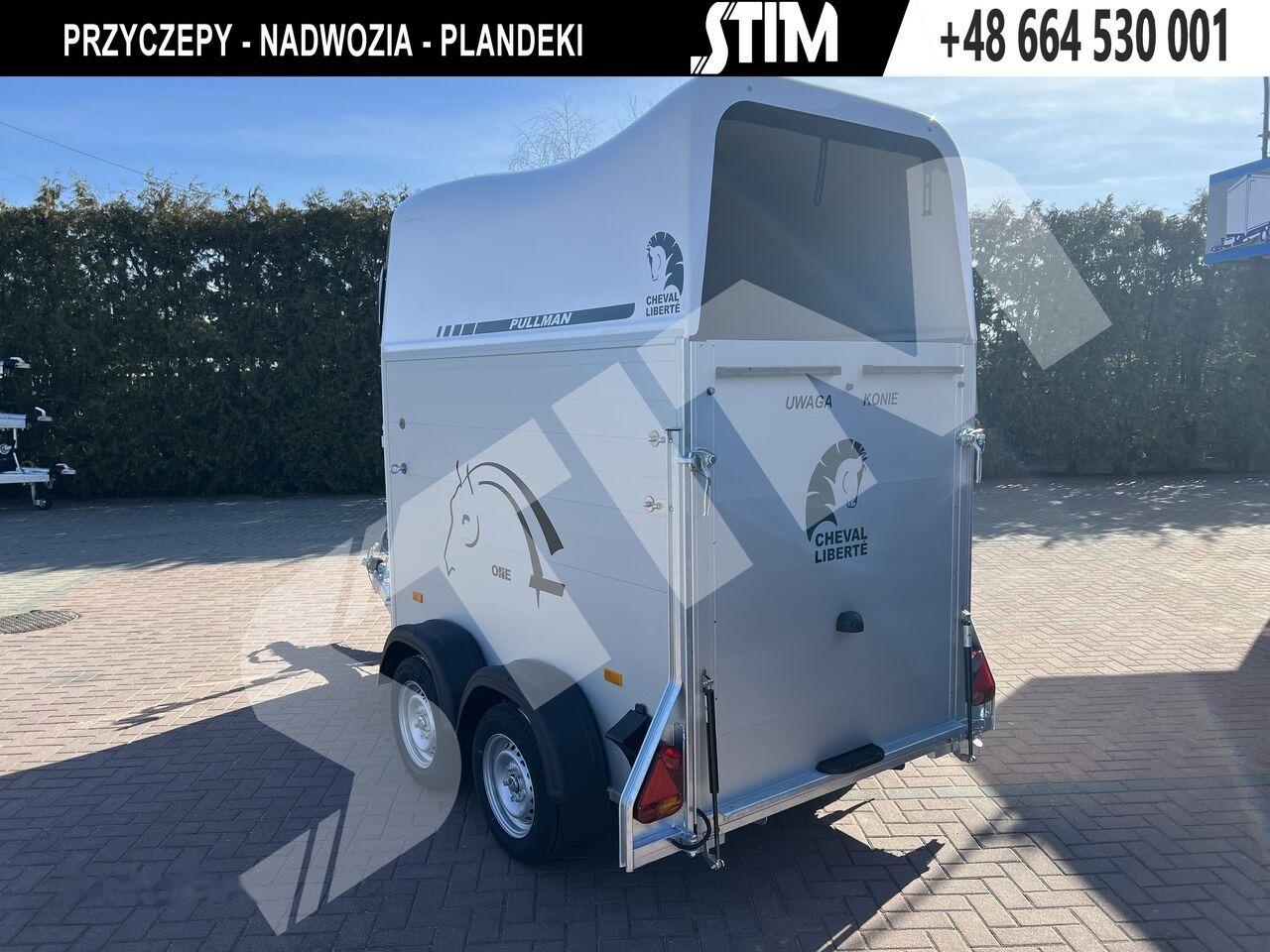 Leasing de Cheval Liberté Gold ONE biały + siodlarnia Cheval Liberté Gold ONE biały + siodlarnia: foto 7