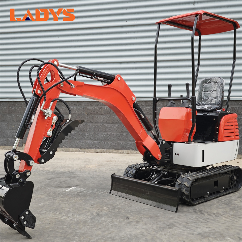 LADYS DY12Pro Mini Excavator Euro 5/Epa Engine Kubota Mini Excavator For Sale - Miniexcavadora: foto 2 LADYS DY12Pro Mini Excavator Euro 5/Epa Engine Kubota Mini Excavator For Sale - Miniexcavadora: foto 2