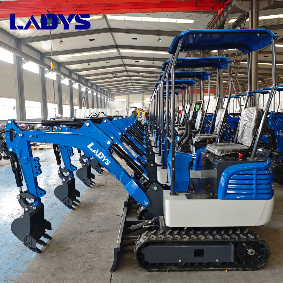Free Shipping Mini Excavator Bagger Pelle Miniexcavadora 1 2 3.5 Ton CE/EPA/EURO 5 Kubota Engine Diesel/Electric Mini Excavators For Sale - Excavadora de cadenas: foto 1 Free Shipping Mini Excavator Bagger Pelle Miniexcavadora 1 2 3.5 Ton CE/EPA/EURO 5 Kubota Engine Diesel/Electric Mini Excavators For Sale - Excavadora de cadenas: foto 1