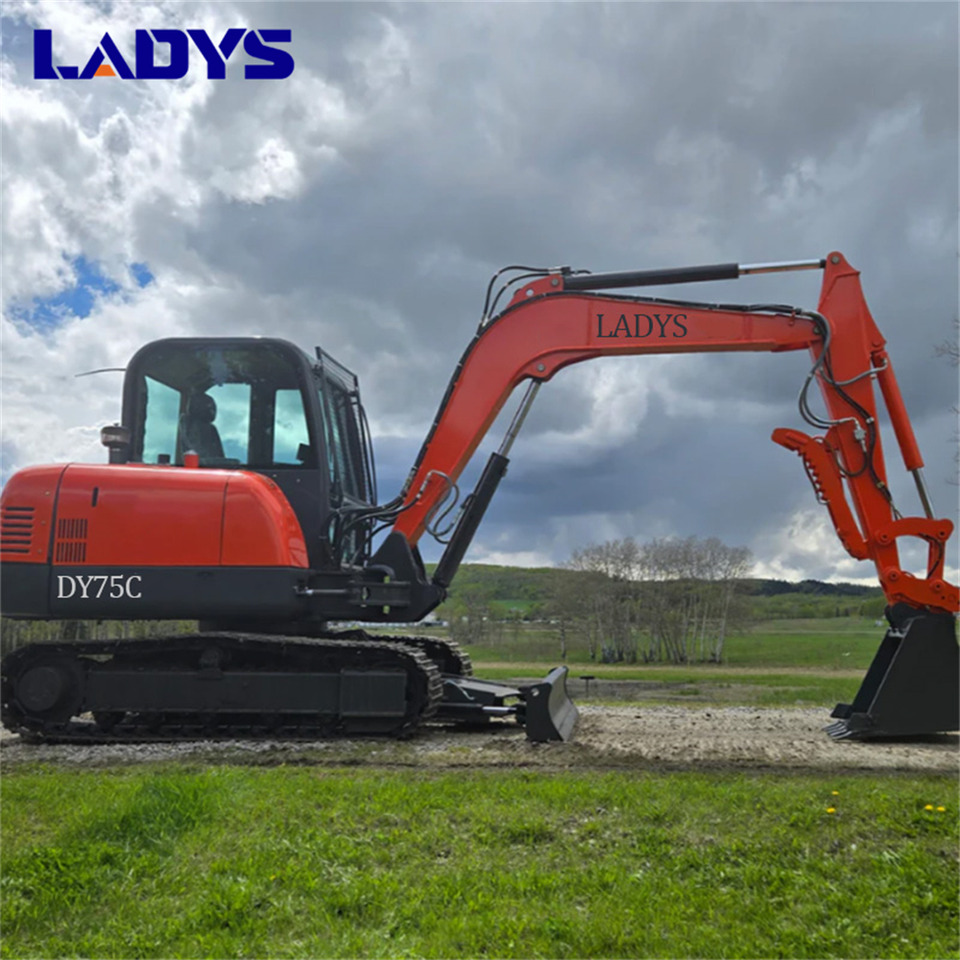 LADYS DY75C Small Excavator Euro 5/Epa Yanmar Engine Small Excavator Crawler Excavator For Sale - Excavadora de cadenas: foto 1 LADYS DY75C Small Excavator Euro 5/Epa Yanmar Engine Small Excavator Crawler Excavator For Sale - Excavadora de cadenas: foto 1