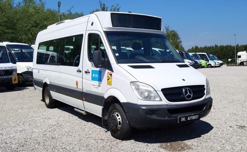 Minibús, Furgoneta de pasajeros Mercedes-Benz Sprinter 516 *2x klimatyzacja*webasto* Euro 5: foto 6