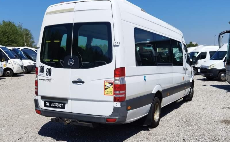 Minibús, Furgoneta de pasajeros Mercedes-Benz Sprinter 516 *2x klimatyzacja*webasto* Euro 5: foto 13