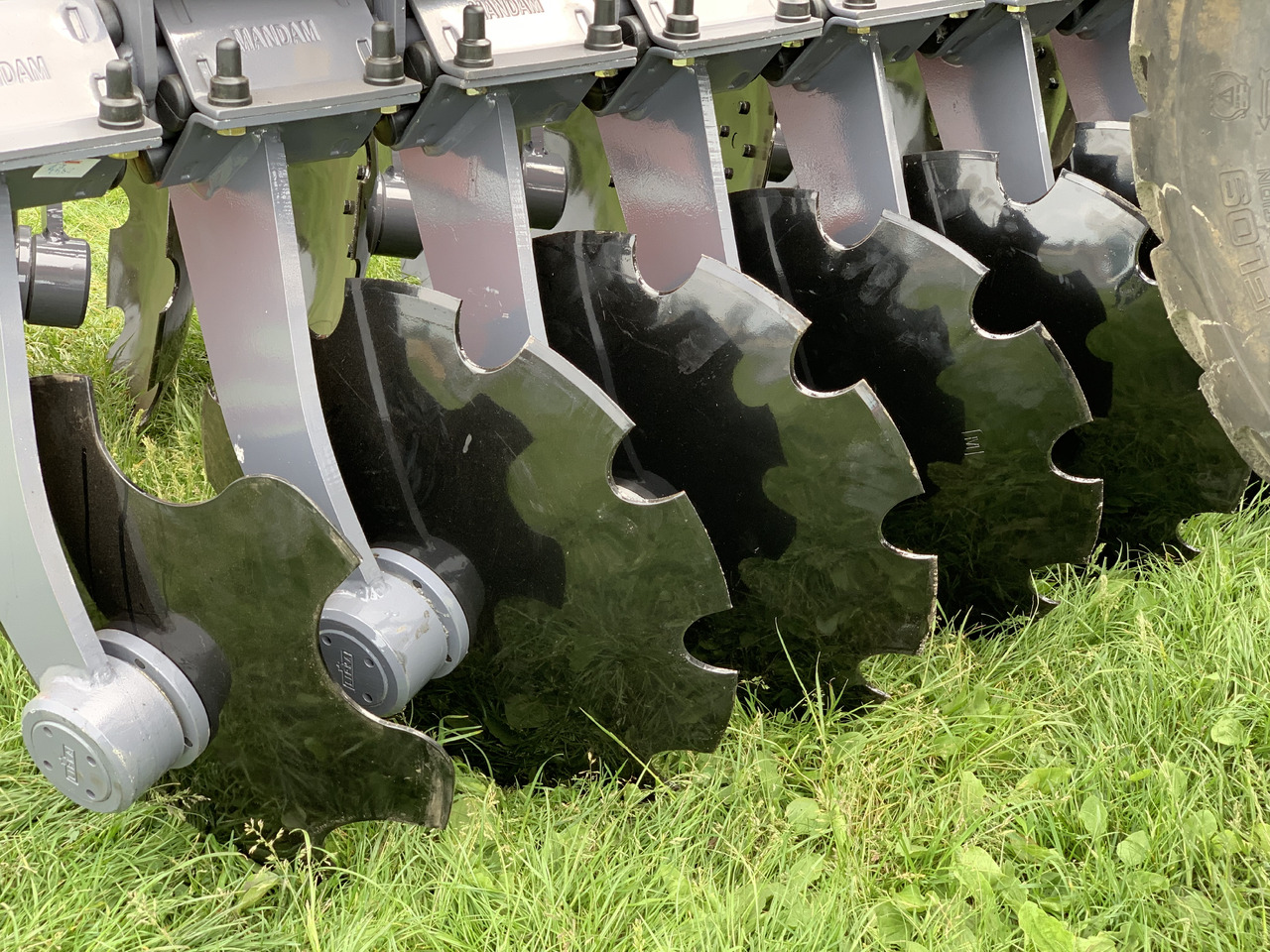 MANDAM Déchaumeur à disques GAL-TAL - Rastras: foto 2 MANDAM Déchaumeur à disques GAL-TAL - Rastras: foto 2