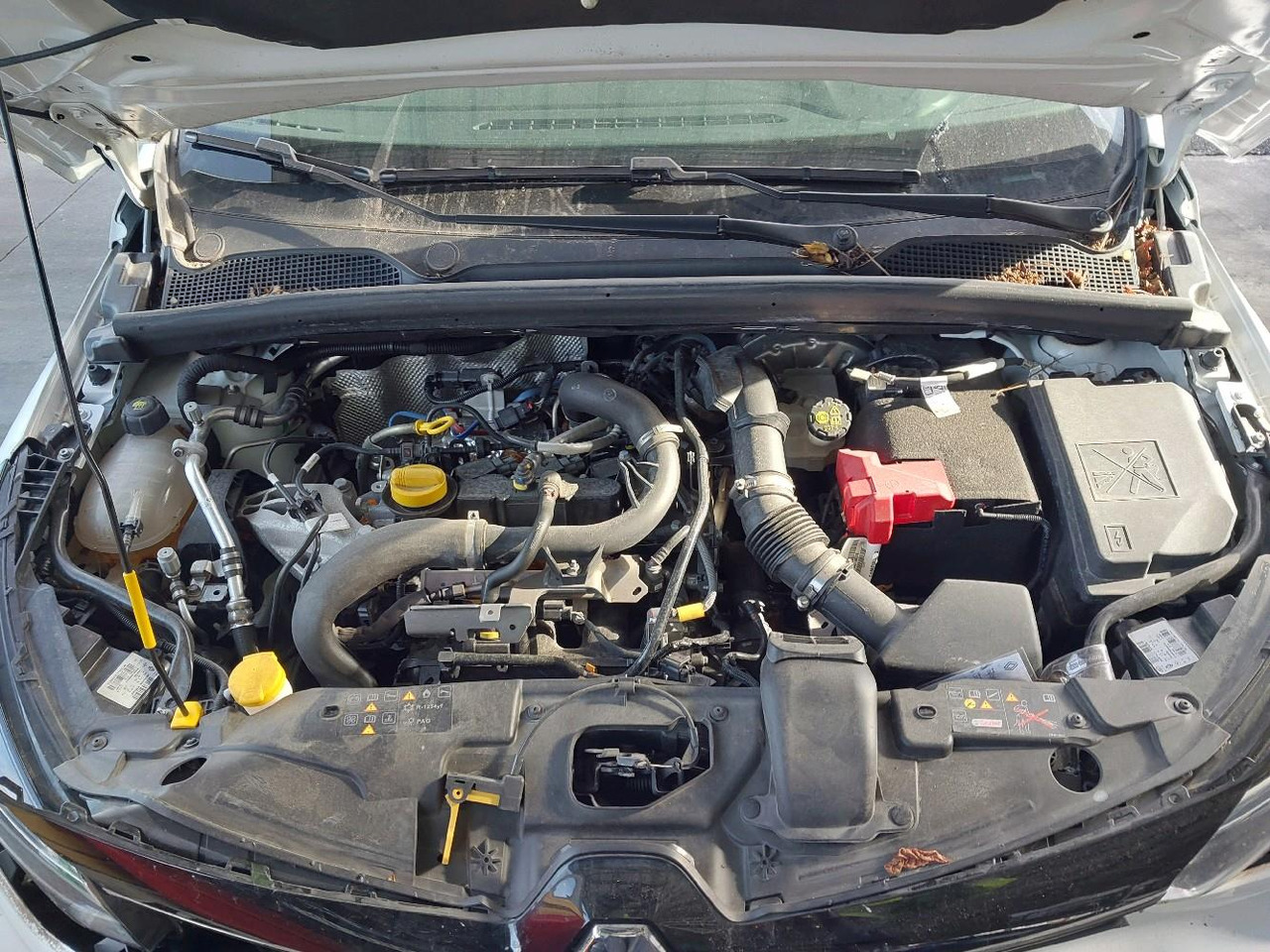 Coche RENAULT CLIO V 1.0 TCE 90 EVOLUTION: foto 20 Coche RENAULT CLIO V 1.0 TCE 90 EVOLUTION: foto 20