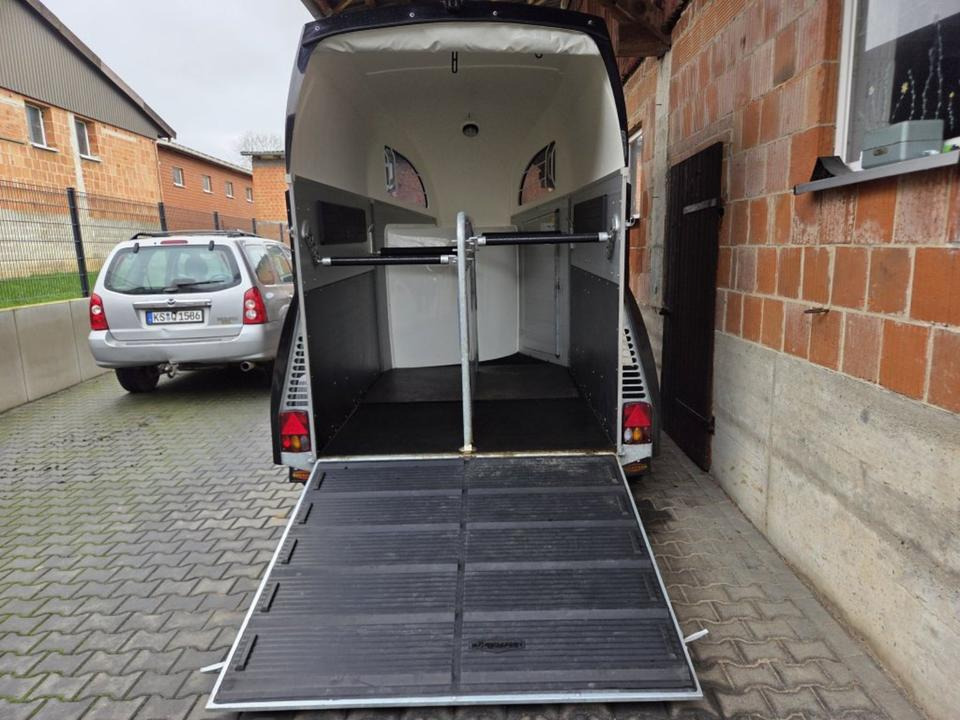 Böckmann Pferdeanhänger Champion R SaKa. WCF-Fahrwerk 100 km/h - Remolque para caballos: foto 4 Böckmann Pferdeanhänger Champion R SaKa. WCF-Fahrwerk 100 km/h - Remolque para caballos: foto 4