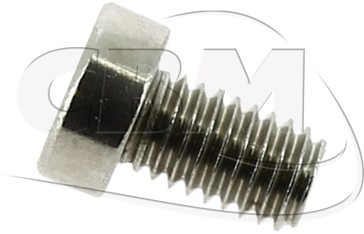 HUBNER SCREW FOR RAMP TURNTABLE - SACHS (123877) - Piezas de recambio para Autobús: foto 1 HUBNER SCREW FOR RAMP TURNTABLE - SACHS (123877) - Piezas de recambio para Autobús: foto 1