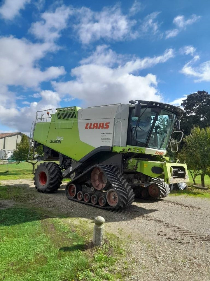 Claas LEXION 750 RISO - Cosechadora de granos: foto 1 Claas LEXION 750 RISO - Cosechadora de granos: foto 1
