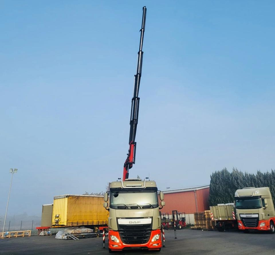 Camión lona, Camión grúa DAF DAF XF 460 FAN + PALFINGER + 16mtr + Lenkachse + EURO 6: foto 13