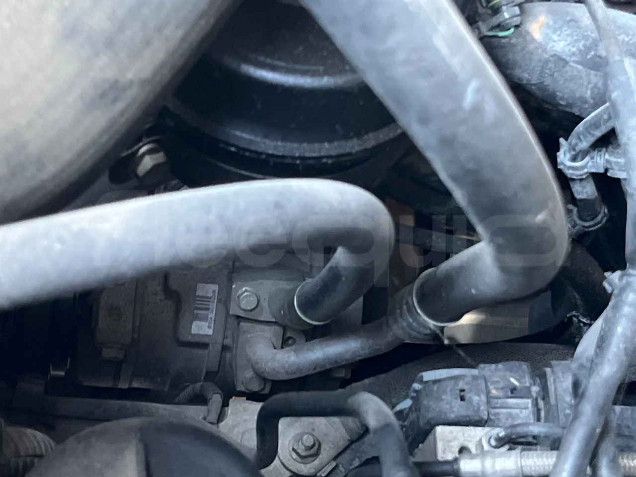 Autobús escolar Iveco Daily: foto 16 Autobús escolar Iveco Daily: foto 16