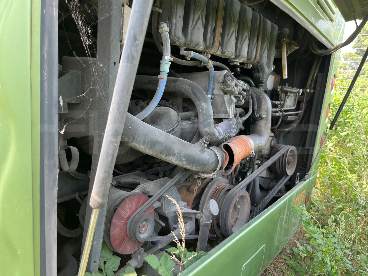 Autobús suburbano Temsa Safari: foto 6 Autobús suburbano Temsa Safari: foto 6