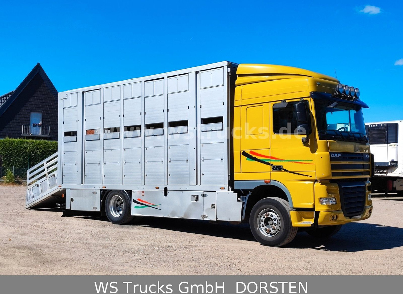 DAF XF 410 SC Menke Doppelstock - Camión para caballos: foto 5 DAF XF 410 SC Menke Doppelstock - Camión para caballos: foto 5