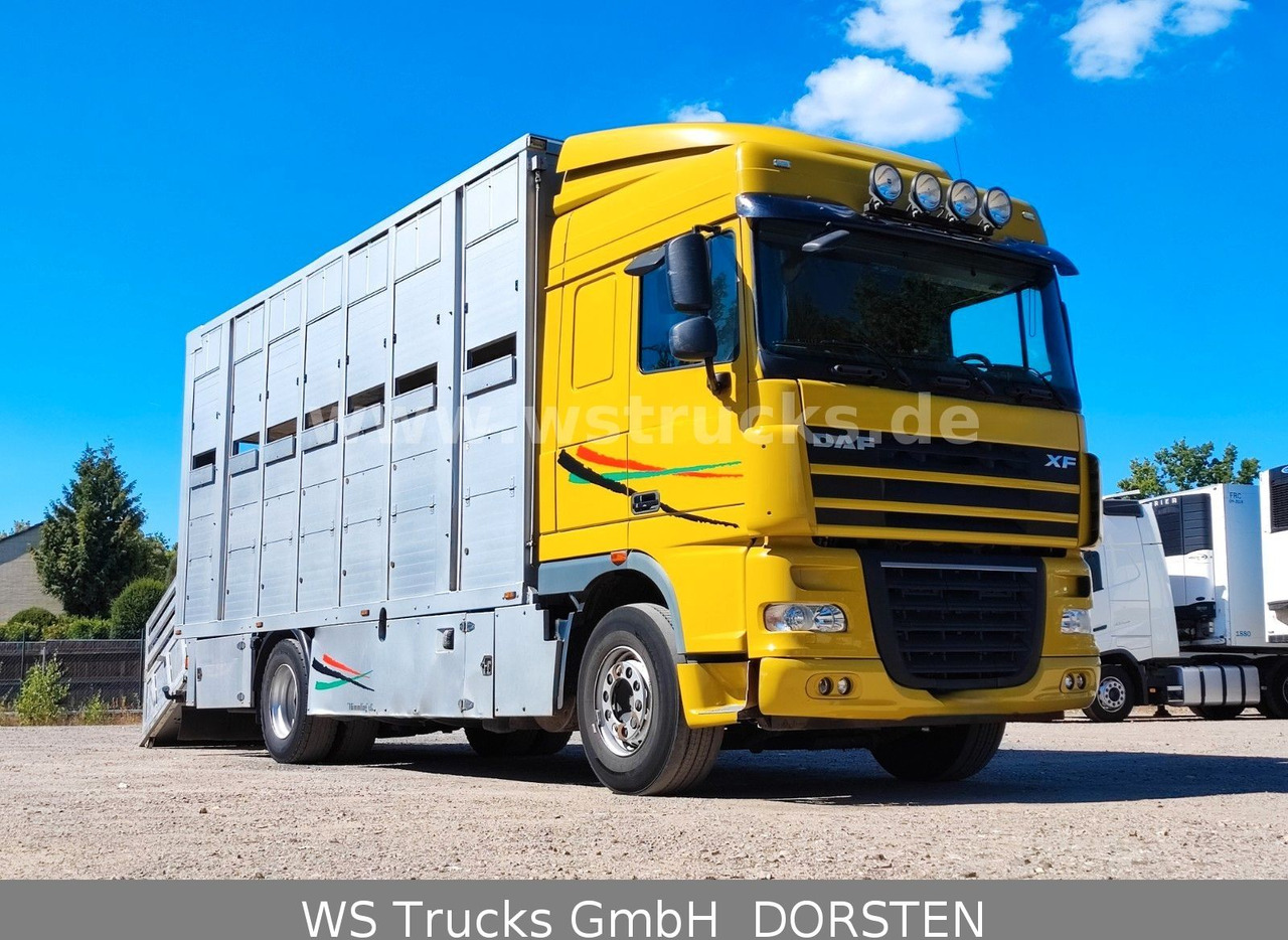 DAF XF 410 SC Menke Doppelstock - Camión para caballos: foto 3 DAF XF 410 SC Menke Doppelstock - Camión para caballos: foto 3