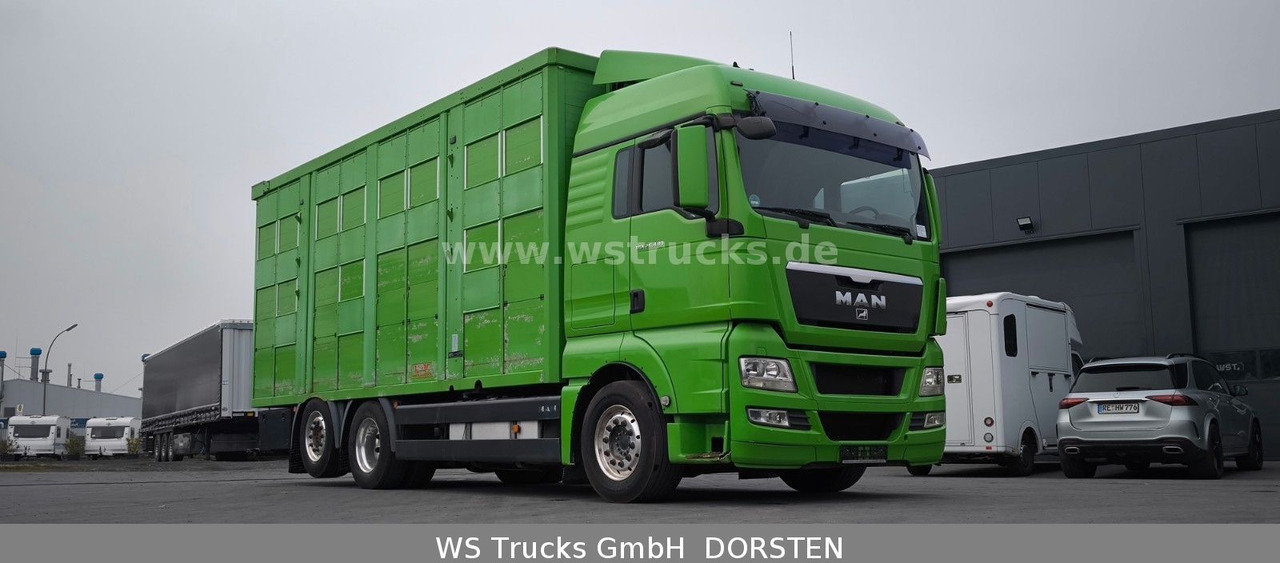 MAN TGX 26.480 XL KABA 3 Stock Viehtransporter - Camión para caballos: foto 4 MAN TGX 26.480 XL KABA 3 Stock Viehtransporter - Camión para caballos: foto 4