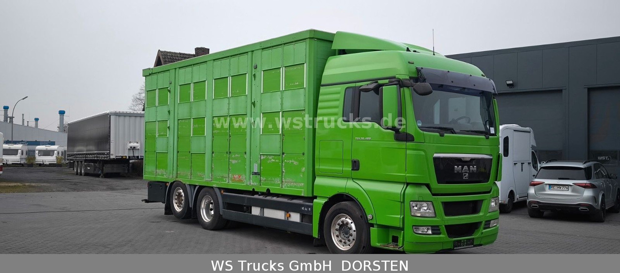 MAN TGX 26.480 XL KABA 3 Stock Viehtransporter - Camión para caballos: foto 3 MAN TGX 26.480 XL KABA 3 Stock Viehtransporter - Camión para caballos: foto 3