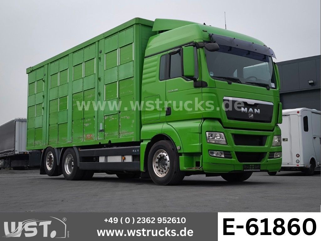 MAN TGX 26.480 XL KABA 3 Stock Viehtransporter - Camión para caballos: foto 1 MAN TGX 26.480 XL KABA 3 Stock Viehtransporter - Camión para caballos: foto 1