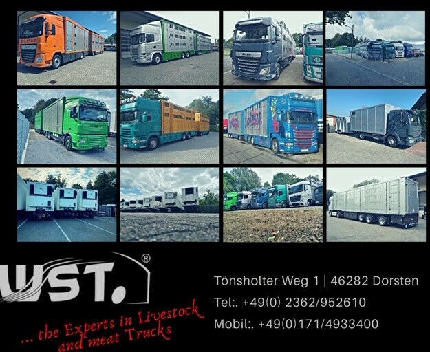 Menke-Janzen Menke 3 Stock Ausahrbares Dach Vollalu Typ 2 - Remolque transporte de ganado: foto 4 Menke-Janzen Menke 3 Stock Ausahrbares Dach Vollalu Typ 2 - Remolque transporte de ganado: foto 4