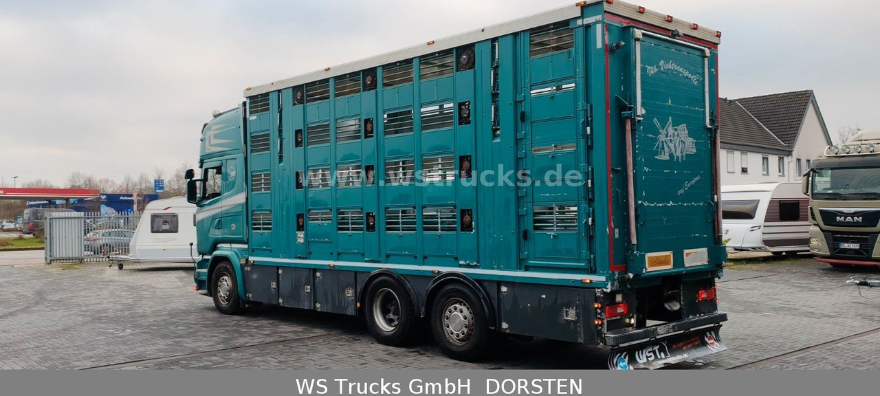 Scania R 490 Topline Menke 4 Stock Hubdach | Retader - Camión para caballos: foto 5 Scania R 490 Topline Menke 4 Stock Hubdach | Retader - Camión para caballos: foto 5