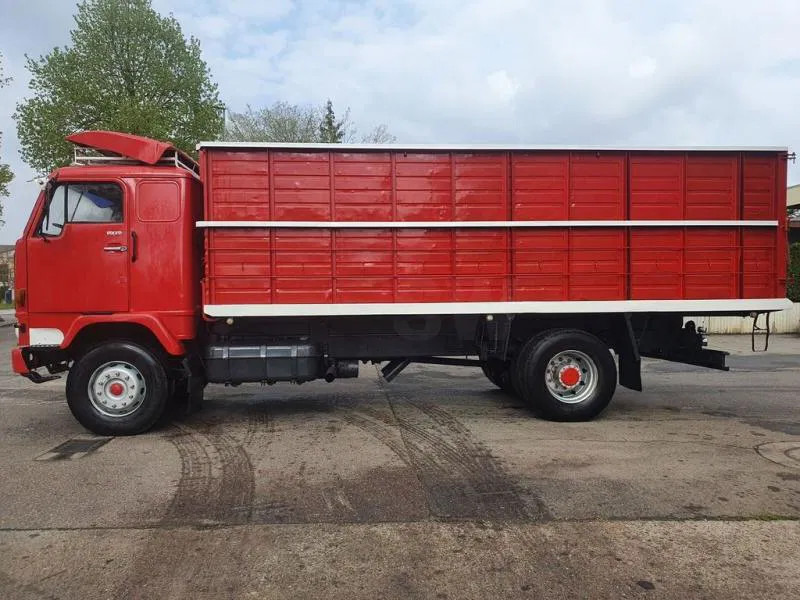 Volvo F 89 IC 4X2 Muldenkipper Kipper Oldtimer - Camión volquete: foto 4 Volvo F 89 IC 4X2 Muldenkipper Kipper Oldtimer - Camión volquete: foto 4