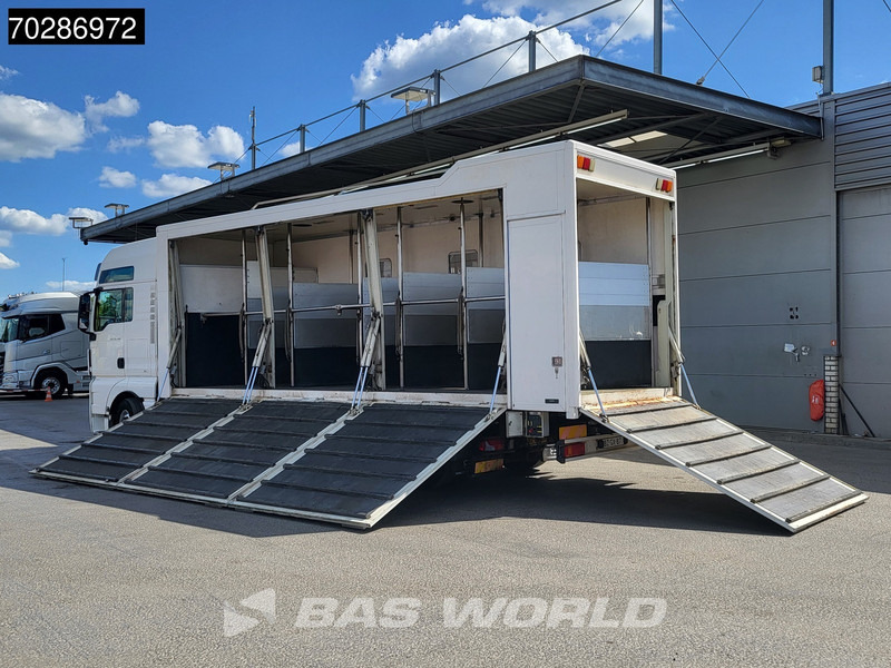 MAN TGX 26.480 TGX 6X2 NL-Truck BDF HorseTransport Lift+steering axle Standklima Automatic Xenon Alcoa´s Euro 5 - Camión portacontenedore/ Intercambiable: foto 2 MAN TGX 26.480 TGX 6X2 NL-Truck BDF HorseTransport Lift+steering axle Standklima Automatic Xenon Alcoa´s Euro 5 - Camión portacontenedore/ Intercambiable: foto 2