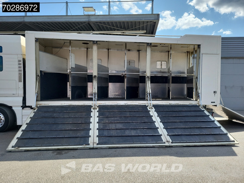 MAN TGX 26.480 TGX 6X2 NL-Truck BDF HorseTransport Lift+steering axle Standklima Automatic Xenon Alcoa´s Euro 5 - Camión portacontenedore/ Intercambiable: foto 3 MAN TGX 26.480 TGX 6X2 NL-Truck BDF HorseTransport Lift+steering axle Standklima Automatic Xenon Alcoa´s Euro 5 - Camión portacontenedore/ Intercambiable: foto 3