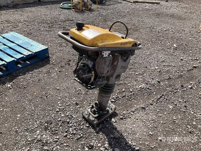 2018 Wacker Neuson BS50-4AS Jumping Jack Tamper - Vibroapisonador: foto 4 2018 Wacker Neuson BS50-4AS Jumping Jack Tamper - Vibroapisonador: foto 4