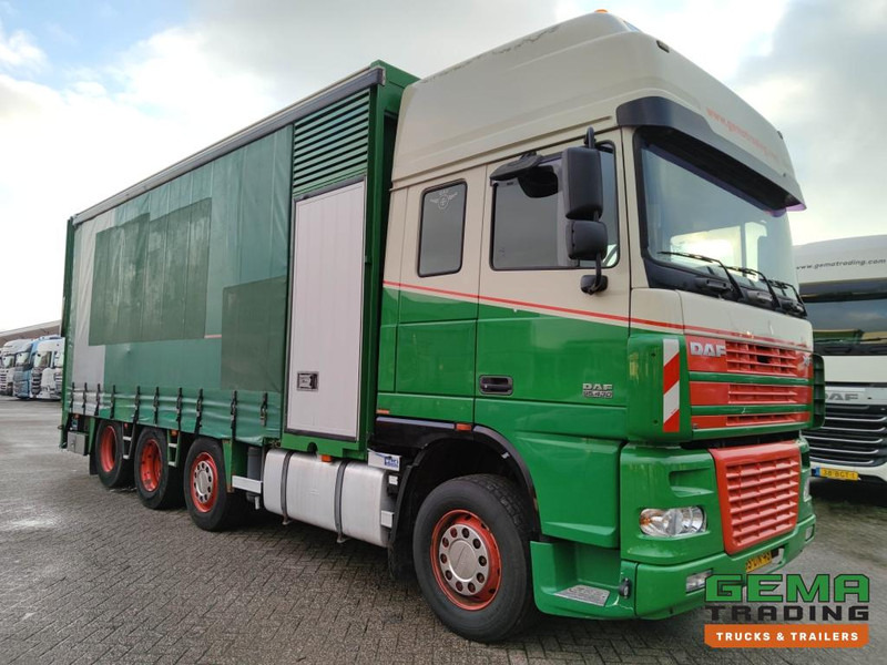 DAF FAK XF95.430 8x2 SuperSpaceCab Euro3 - CurtainSider 7.31m + Ramp 16T - MachineTransporter - 6 Persons (V558) - Camión portavehículos: foto 3 DAF FAK XF95.430 8x2 SuperSpaceCab Euro3 - CurtainSider 7.31m + Ramp 16T - MachineTransporter - 6 Persons (V558) - Camión portavehículos: foto 3