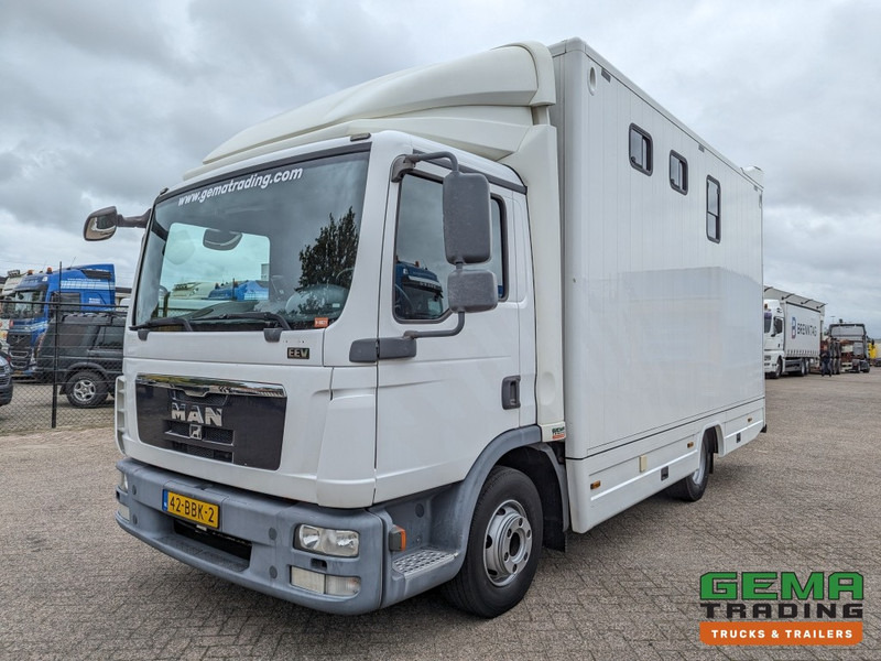 MAN TGL 12.250 4x2 Euro5 EEV RC HorseTruck - 2a3 Paards - 135.000km - MARGE (V821) - Camión para caballos: foto 2 MAN TGL 12.250 4x2 Euro5 EEV RC HorseTruck - 2a3 Paards - 135.000km - MARGE (V821) - Camión para caballos: foto 2