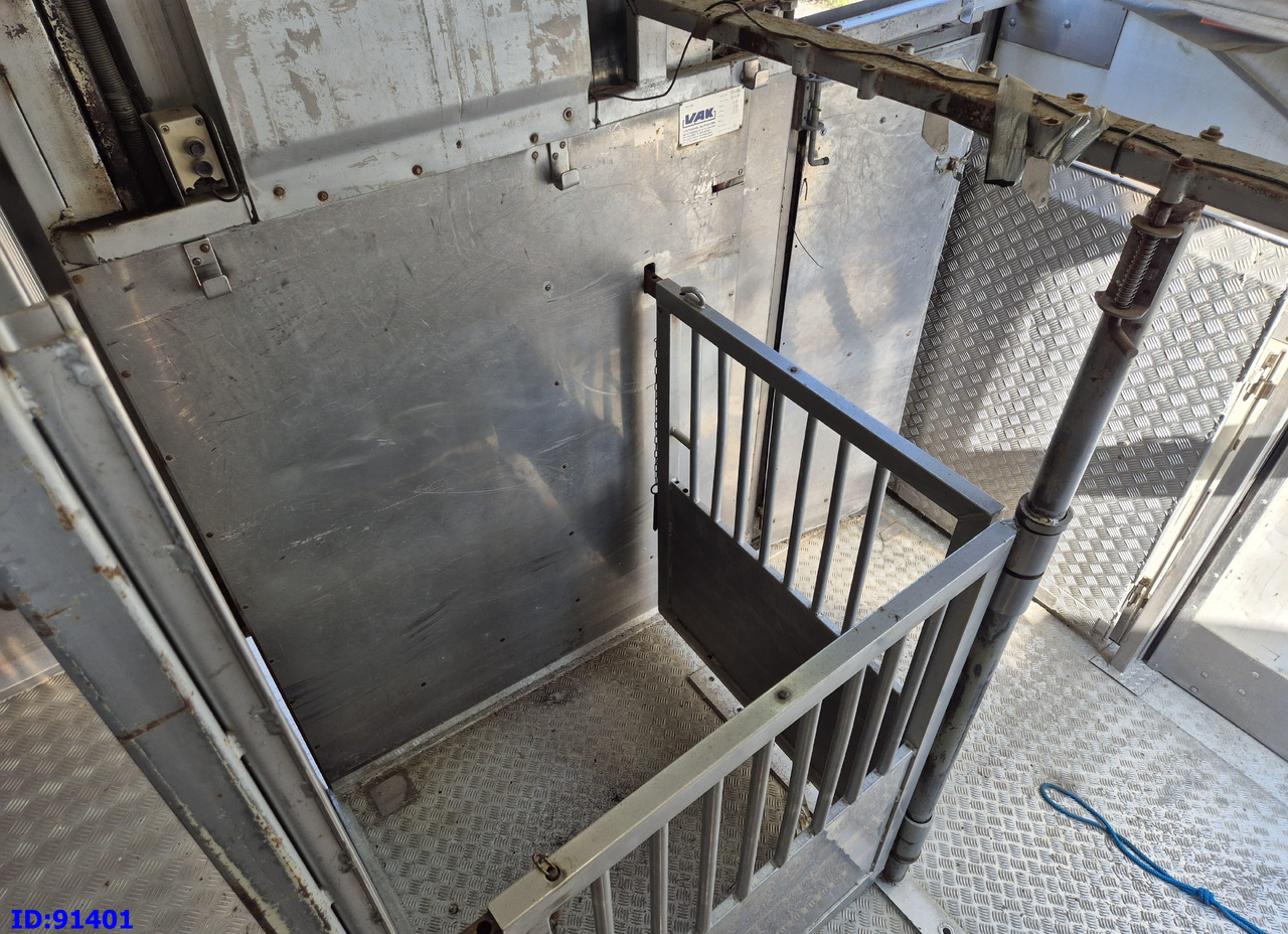 Camión transporte de ganado MERCEDES-BENZ Antos 2532 - 6x2 - Euro 6 - Animal transport: foto 12