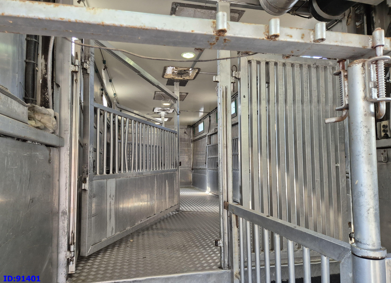 Camión transporte de ganado MERCEDES-BENZ Antos 2532 - 6x2 - Euro 6 - Animal transport: foto 9